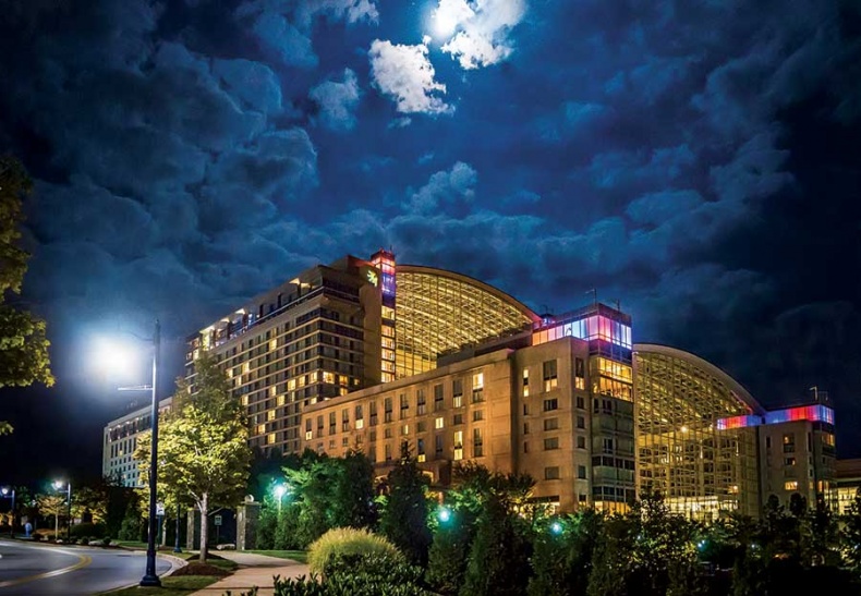 Иллюстрация к книге — Фотография. Искусство обмана [i_143.jpg]