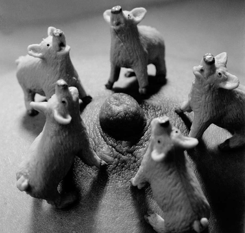 Иллюстрация к книге — Фотография. Искусство обмана [i_149.jpg]