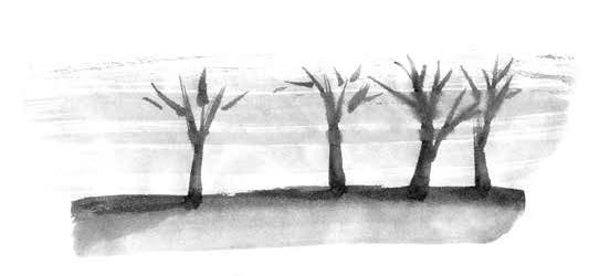 Иллюстрация к книге — Глубина моря; Открытое море [i_002.jpg]