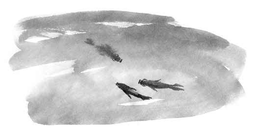 Иллюстрация к книге — Глубина моря; Открытое море [i_009.jpg]