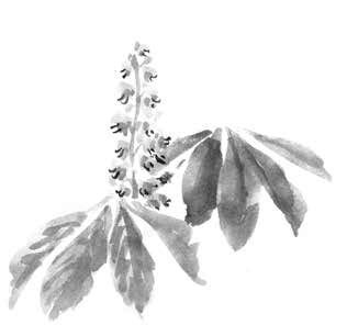 Иллюстрация к книге — Глубина моря; Открытое море [i_014.jpg]