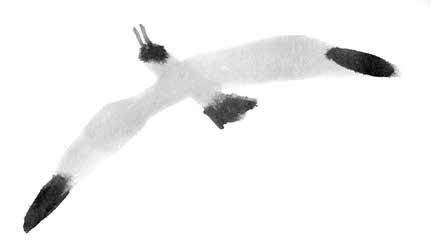 Иллюстрация к книге — Глубина моря; Открытое море [i_035.jpg]