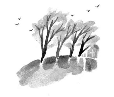 Иллюстрация к книге — Глубина моря; Открытое море [i_049.jpg]