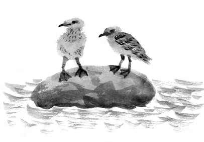 Иллюстрация к книге — Глубина моря; Открытое море [i_057.jpg]