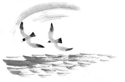 Иллюстрация к книге — Глубина моря; Открытое море [i_065.jpg]