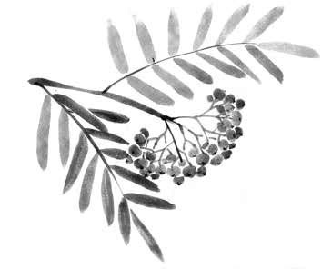 Иллюстрация к книге — Глубина моря; Открытое море [i_078.jpg]