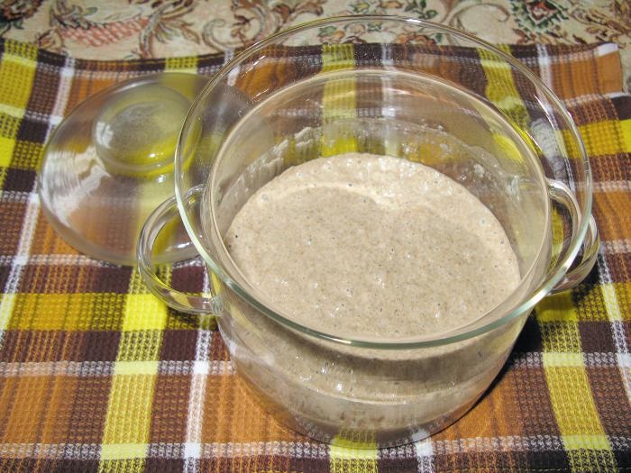 Иллюстрация к книге — кЛИБЕ. Конец иллюзии стадной безопасности [_16_zakvaskaaktivna.jpg]