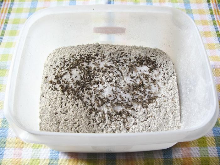 Иллюстрация к книге — кЛИБЕ. Конец иллюзии стадной безопасности [_19_mukasolitmin.jpg]