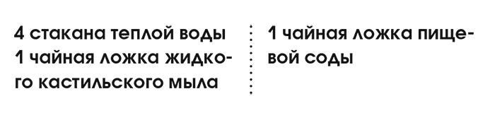 Иллюстрация к книге — Органическая уборка для безопасности всей семьи. Дом без химии [i_025.jpg]
