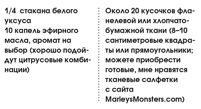 Иллюстрация к книге — Органическая уборка для безопасности всей семьи. Дом без химии [i_053.jpg]