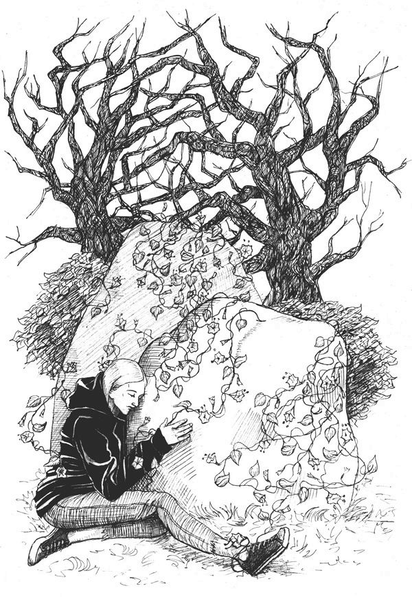 Иллюстрация к книге — Зеркальный лабиринт [i_004.jpg]