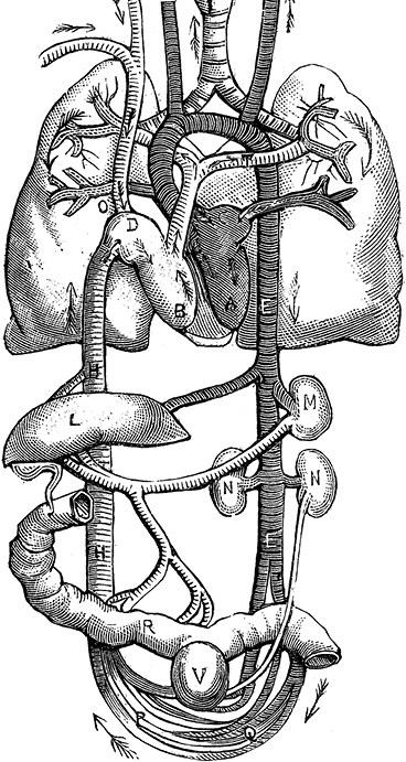 Иллюстрация к книге — Не жилец! История медицины в увлекательных заметках [i_022.jpg]