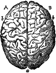 Иллюстрация к книге — Не жилец! История медицины в увлекательных заметках [i_026.jpg]