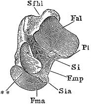 Иллюстрация к книге — Не жилец! История медицины в увлекательных заметках [i_028.jpg]