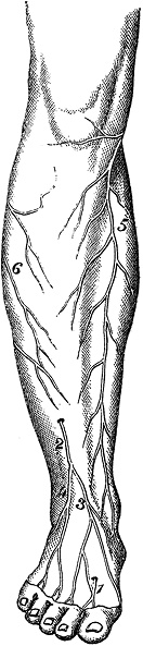 Иллюстрация к книге — Не жилец! История медицины в увлекательных заметках [i_031.jpg]