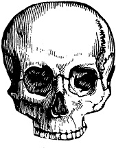 Иллюстрация к книге — Не жилец! История медицины в увлекательных заметках [i_036.jpg]