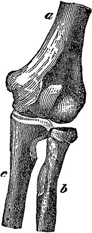 Иллюстрация к книге — Не жилец! История медицины в увлекательных заметках [i_037.jpg]