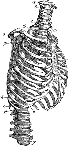 Иллюстрация к книге — Не жилец! История медицины в увлекательных заметках [i_046.jpg]