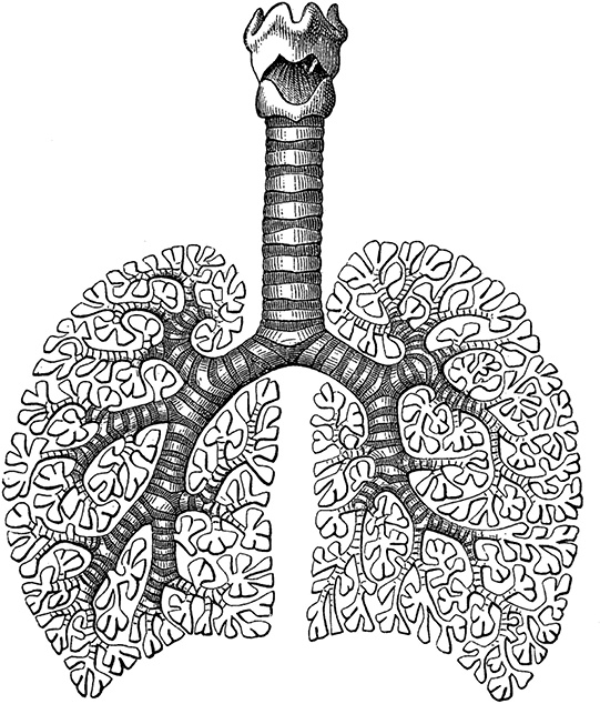 Иллюстрация к книге — Не жилец! История медицины в увлекательных заметках [i_048.jpg]