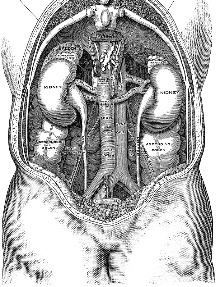 Иллюстрация к книге — Не жилец! История медицины в увлекательных заметках [i_066.jpg]