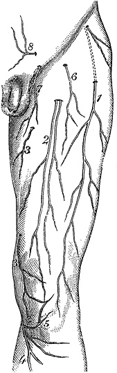 Иллюстрация к книге — Не жилец! История медицины в увлекательных заметках [i_078.jpg]