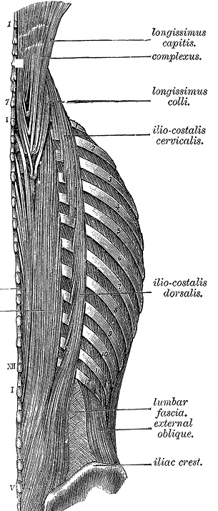 Иллюстрация к книге — Не жилец! История медицины в увлекательных заметках [i_081.jpg]
