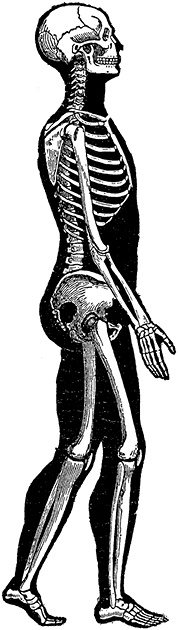 Иллюстрация к книге — Не жилец! История медицины в увлекательных заметках [i_082.jpg]