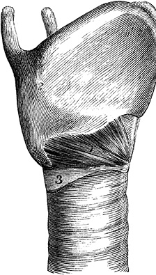 Иллюстрация к книге — Не жилец! История медицины в увлекательных заметках [i_092.jpg]