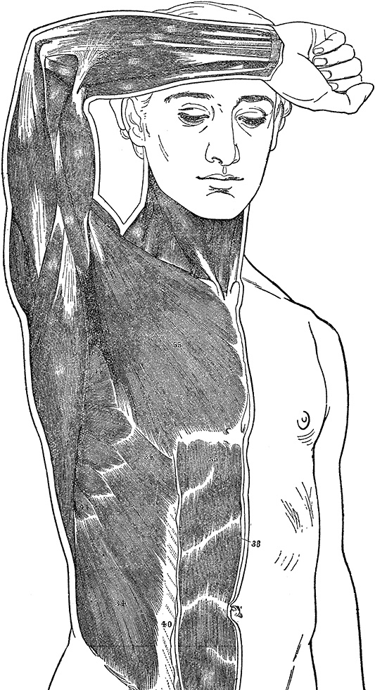 Иллюстрация к книге — Не жилец! История медицины в увлекательных заметках [i_096.jpg]