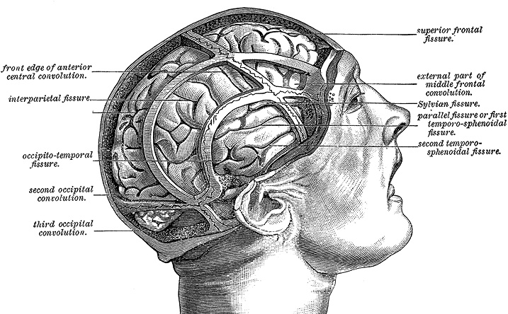 Иллюстрация к книге — Не жилец! История медицины в увлекательных заметках [i_098.jpg]