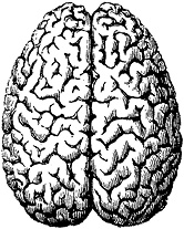 Иллюстрация к книге — Не жилец! История медицины в увлекательных заметках [i_100.jpg]