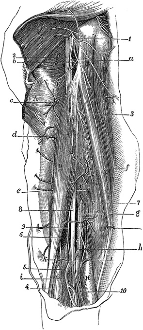 Иллюстрация к книге — Не жилец! История медицины в увлекательных заметках [i_105.jpg]