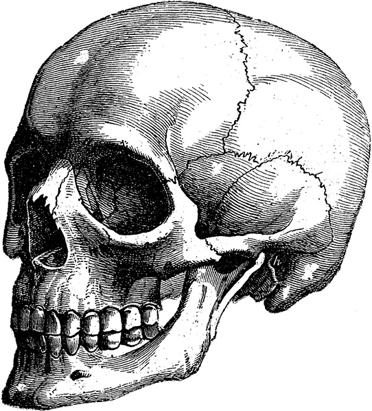 Иллюстрация к книге — Не жилец! История медицины в увлекательных заметках [i_106.jpg]