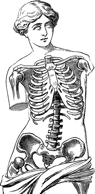 Иллюстрация к книге — Не жилец! История медицины в увлекательных заметках [i_108.jpg]