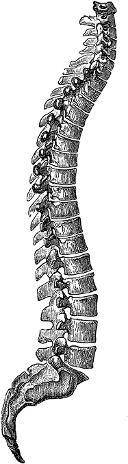 Иллюстрация к книге — Не жилец! История медицины в увлекательных заметках [i_112.jpg]