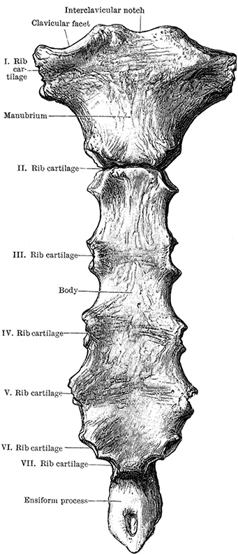 Иллюстрация к книге — Не жилец! История медицины в увлекательных заметках [i_113.jpg]