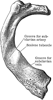 Иллюстрация к книге — Не жилец! История медицины в увлекательных заметках [i_114.jpg]