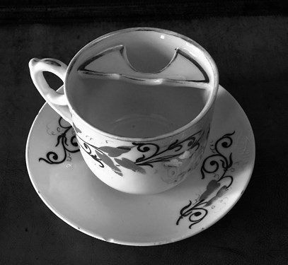 Иллюстрация к книге — Волосы. Иллюстрированная история [i_094.jpg]