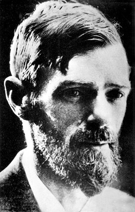 Иллюстрация к книге — Волосы. Иллюстрированная история [i_096.jpg]