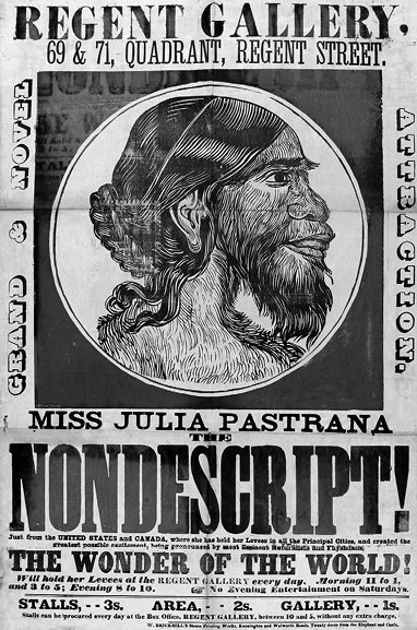 Иллюстрация к книге — Волосы. Иллюстрированная история [i_107.jpg]