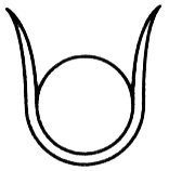 Иллюстрация к книге — Семь монет антиквара [i_001.jpg]