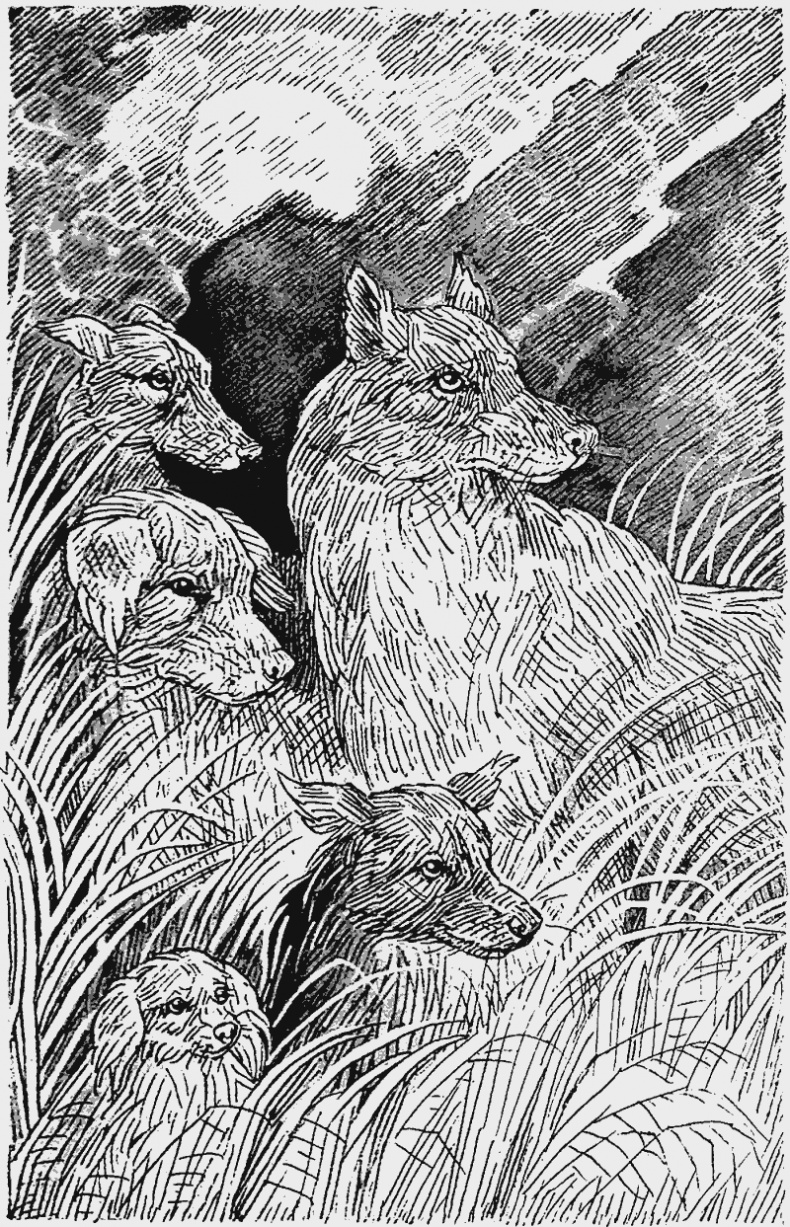 Иллюстрация к книге — Тьма наступает [i_001.jpg]