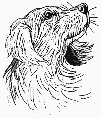 Иллюстрация к книге — Тьма наступает [i_002.jpg]