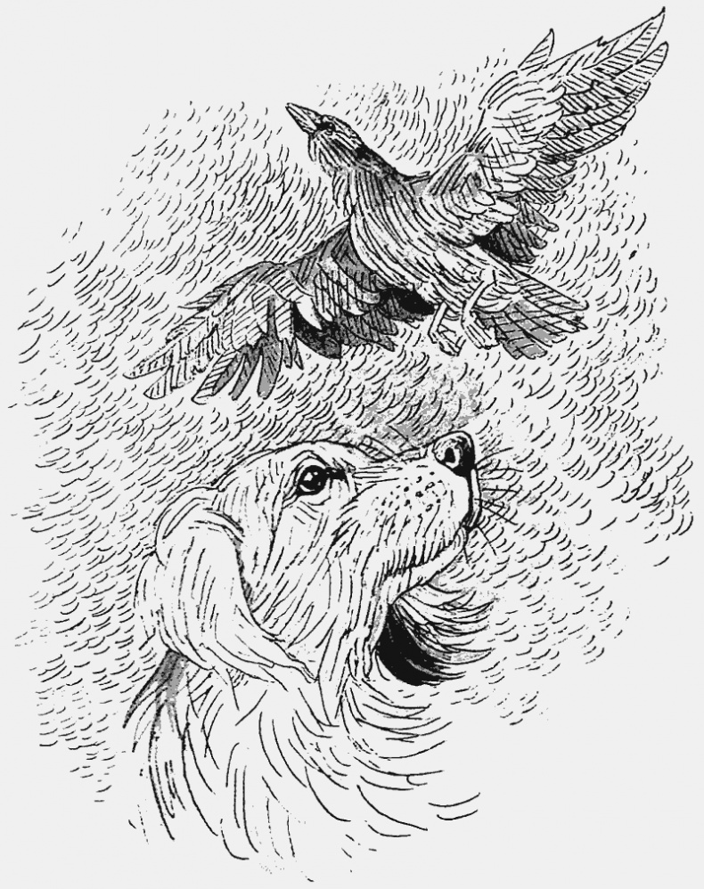 Иллюстрация к книге — Тьма наступает [i_006.jpg]