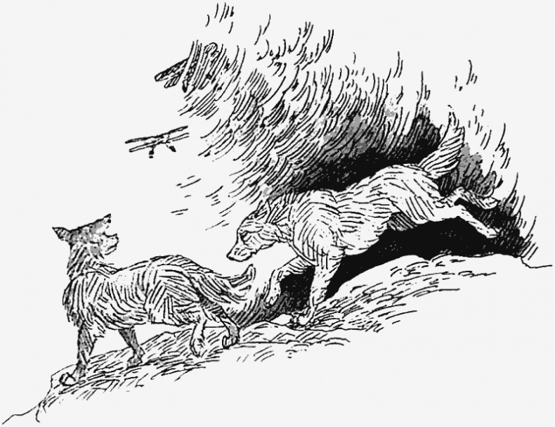 Иллюстрация к книге — Тьма наступает [i_008.jpg]