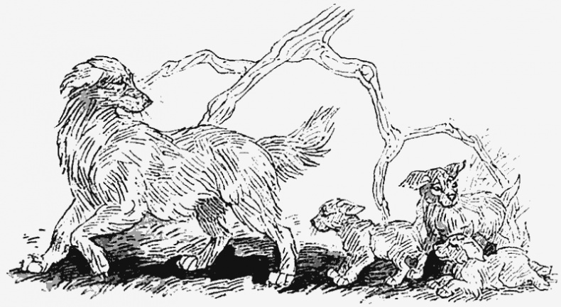 Иллюстрация к книге — Тьма наступает [i_009.jpg]