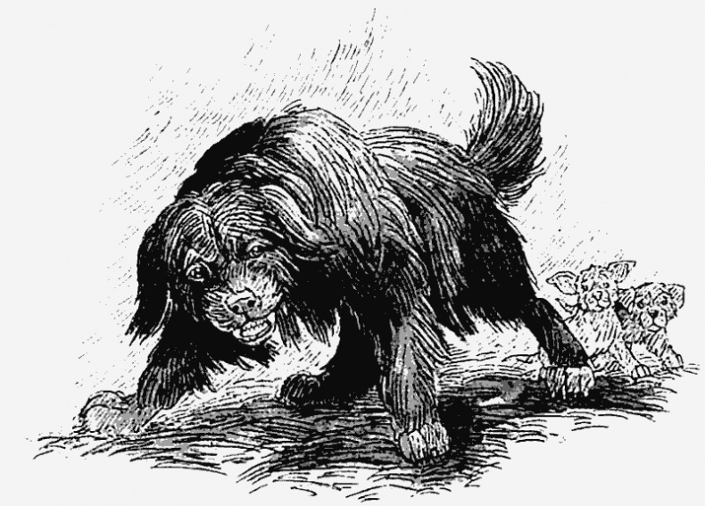 Иллюстрация к книге — Тьма наступает [i_011.jpg]