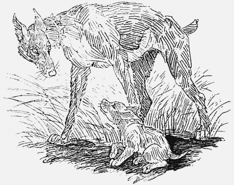 Иллюстрация к книге — Тьма наступает [i_013.jpg]