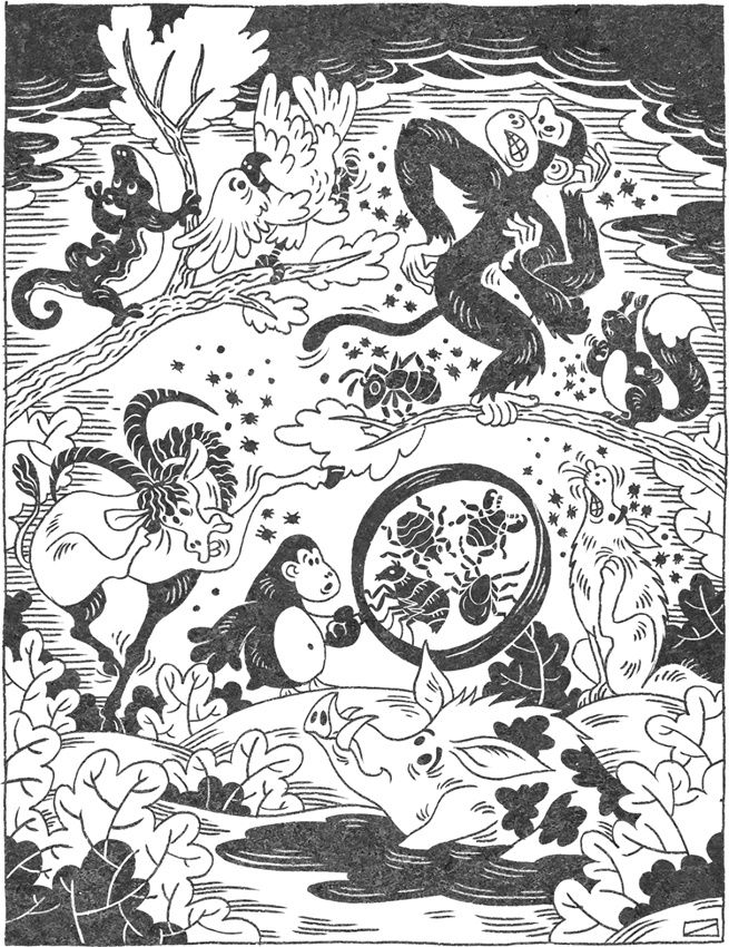 Иллюстрация к книге — Странная обезьяна. Куда делась шерсть и почему люди разного цвета [i_015.jpg]