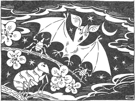 Иллюстрация к книге — Странная обезьяна. Куда делась шерсть и почему люди разного цвета [i_017.jpg]